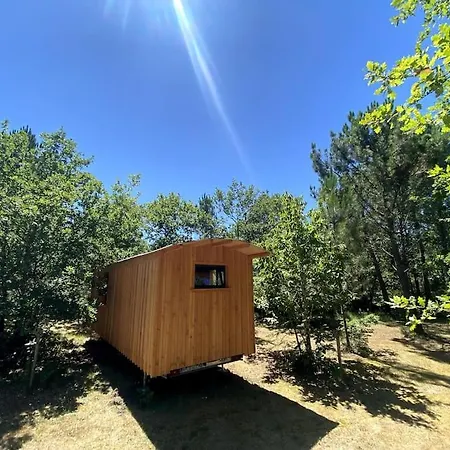 La Kahute - Tiny House Au Coeur De La Foret *