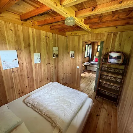 La Kahute - Tiny House Au Coeur De La Foret Camping