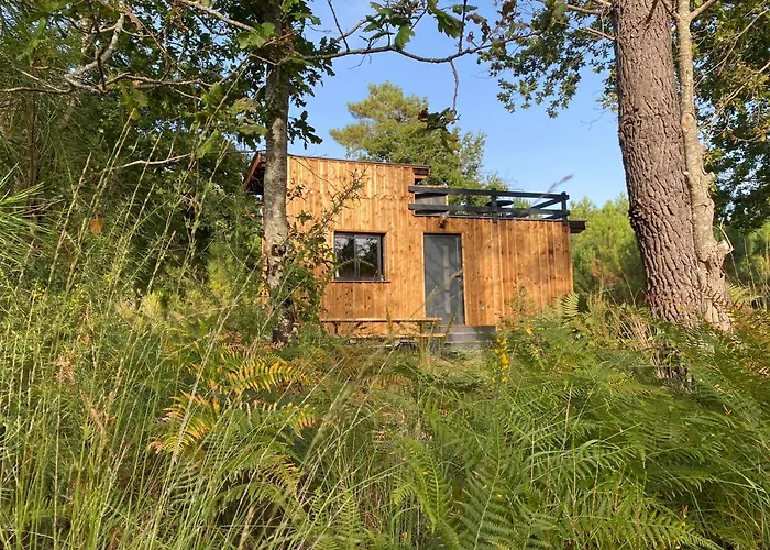 La Kahute - Tiny House Au Coeur De La Foret Camping Carcans