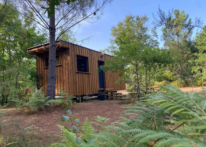 La Kahute - Tiny House Au Coeur De La Foret Camping *