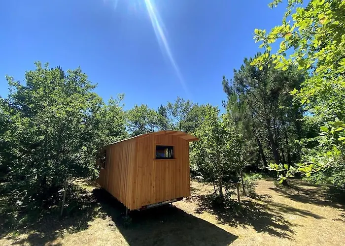La Kahute - Tiny House Au Coeur De La Foret *
