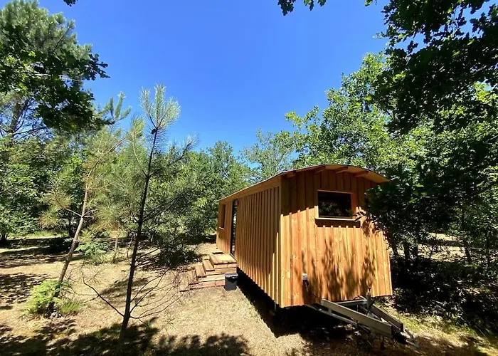 Camping La Kahute - Tiny House Au Coeur De La Foret *